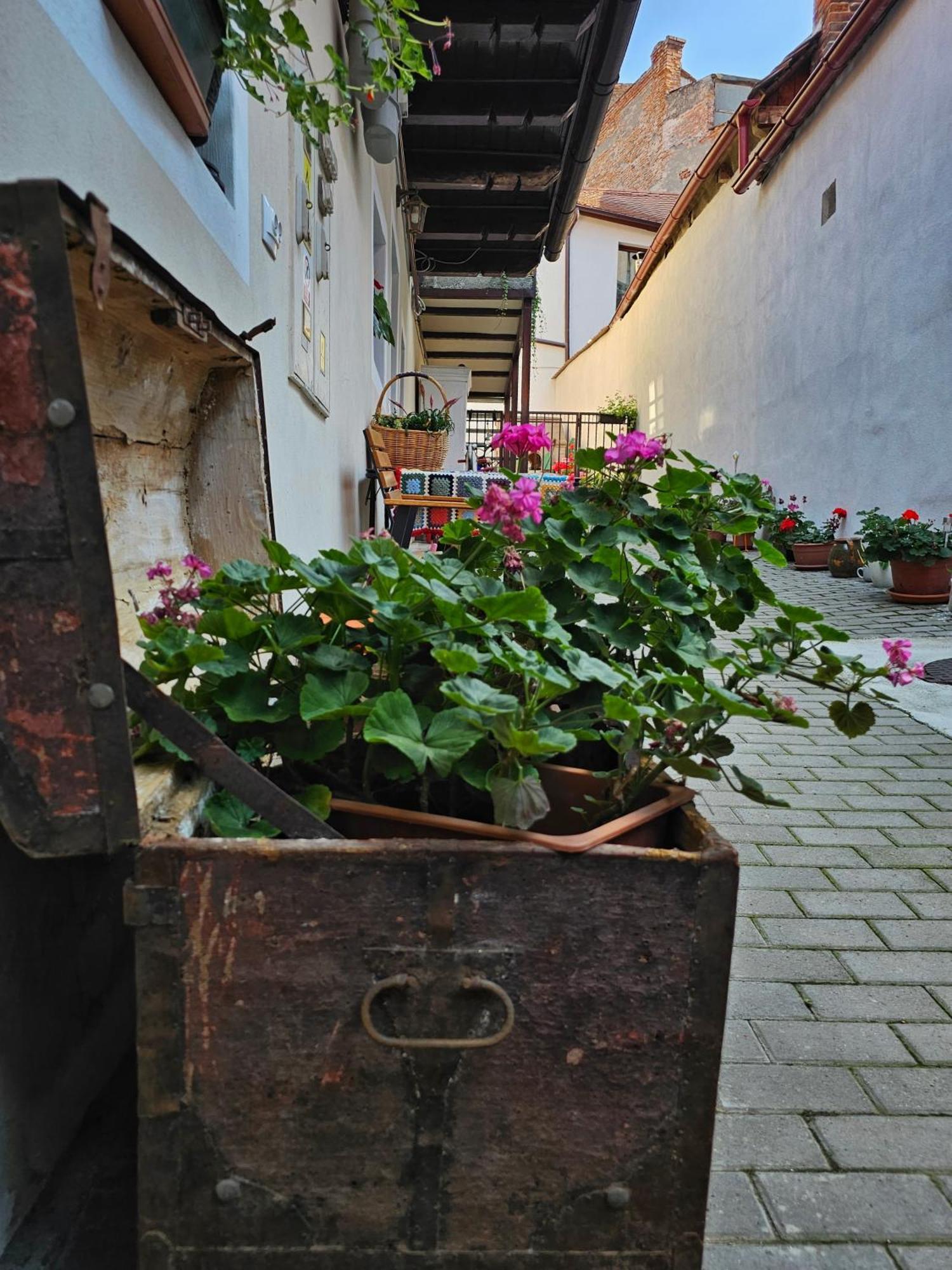 דירות Central Cozy House סיביו מראה חיצוני תמונה